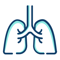 Left Hepatectomy